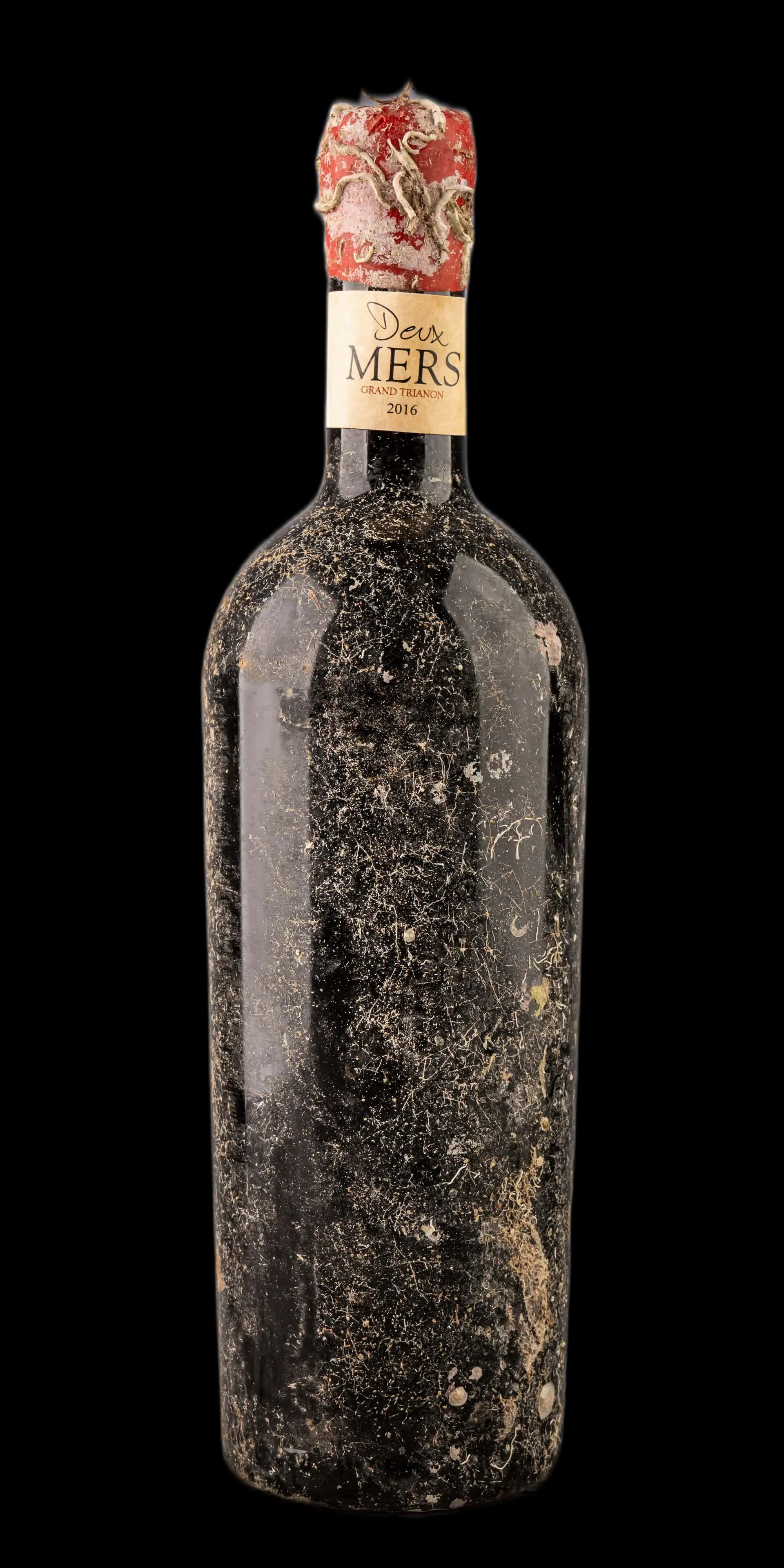 Glavna slika proizvoda